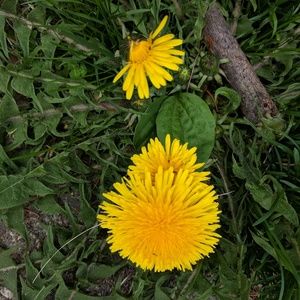 Meet your Posher, Deena